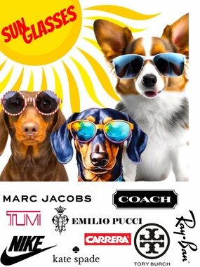 MEN & WOMEN SUNGLASSES